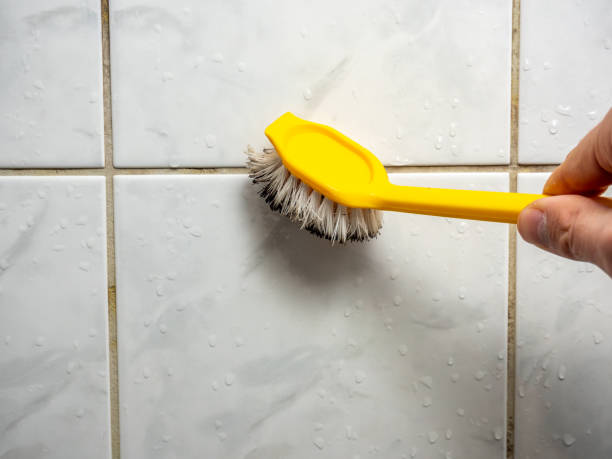 Best Residential Mold Remediation in Chatham, VA