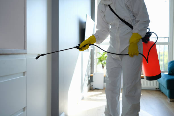 Best Post-Remediation Services in Chatham, VA